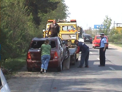 Accident 2 veverite, Baia Mare